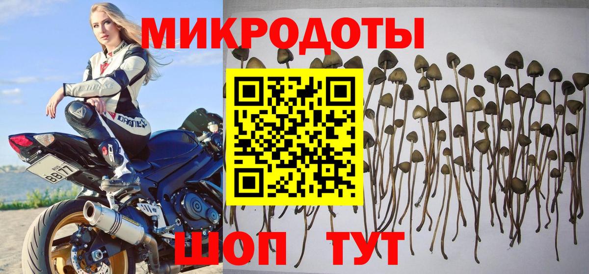 Галлюциногенные грибы MAGIC MUSHROOMS  Псилоцибиновые грибы мухоморы  Вход с VPN  Кировск 