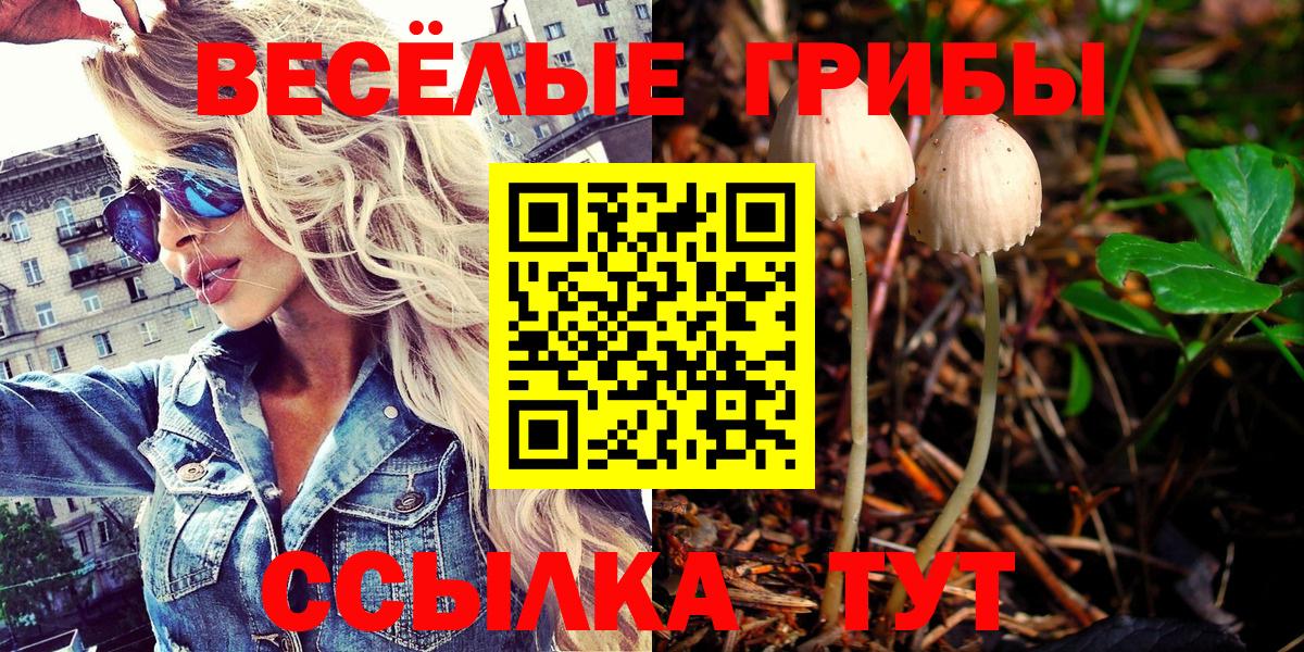 Галлюциногенные грибы ЛСД Кировск